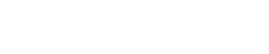 scynett logo